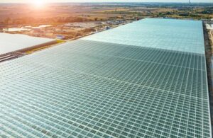 Solución solar para invernaderos